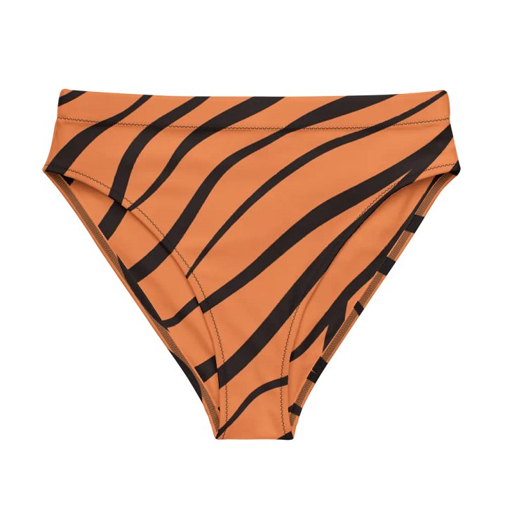 Brada Tiger Stripes Recycled Bikini Bottoms product image (1)