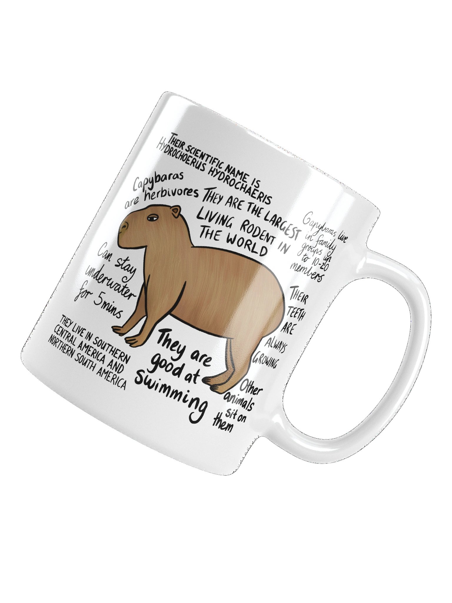 Capybara Facts Mug product image (15)