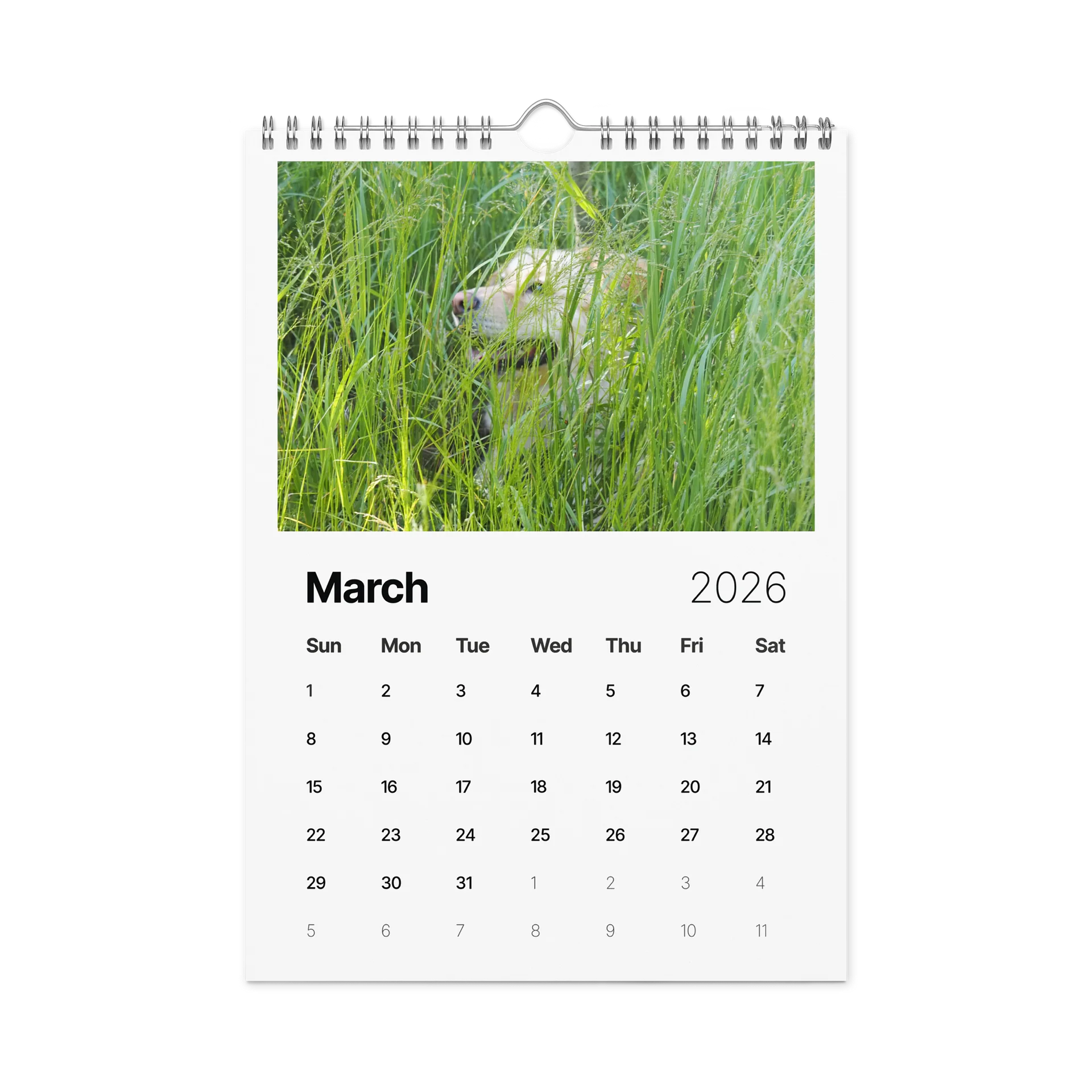 Milo's Life 2026 Wall Calendar product image (2)