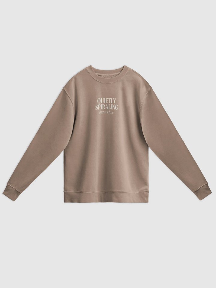 Quietly Spiraling Comfort Sweatshirt product image (13)