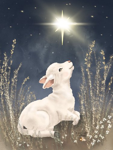 For this illustration, I imagined a quiet field on a still night—the grasses glowing softly, the sky filled with stars, and o...