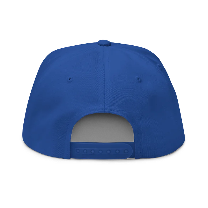 Classic collegiate hat product image (2)