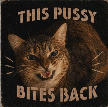 Willoughby Bites T-Shirt product image (2)