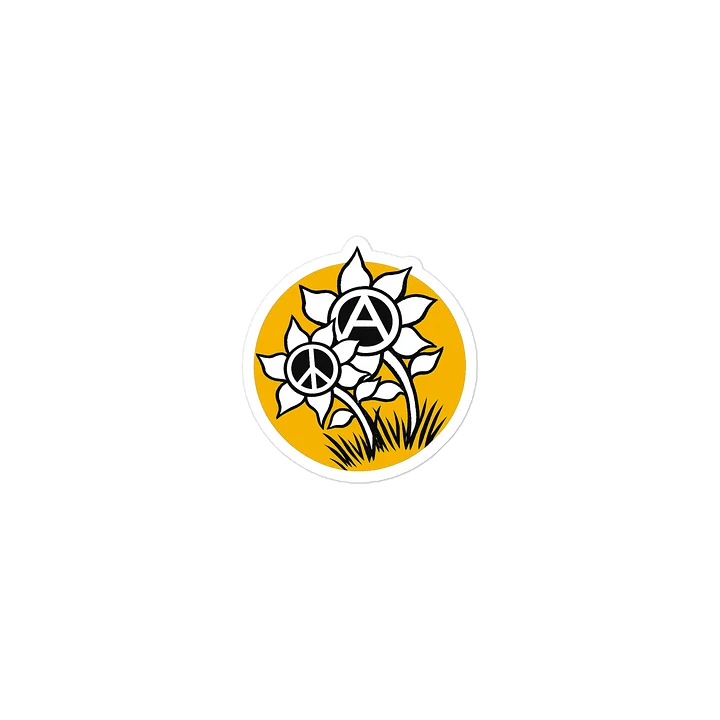 PEACE & ANARCHY product image (1)