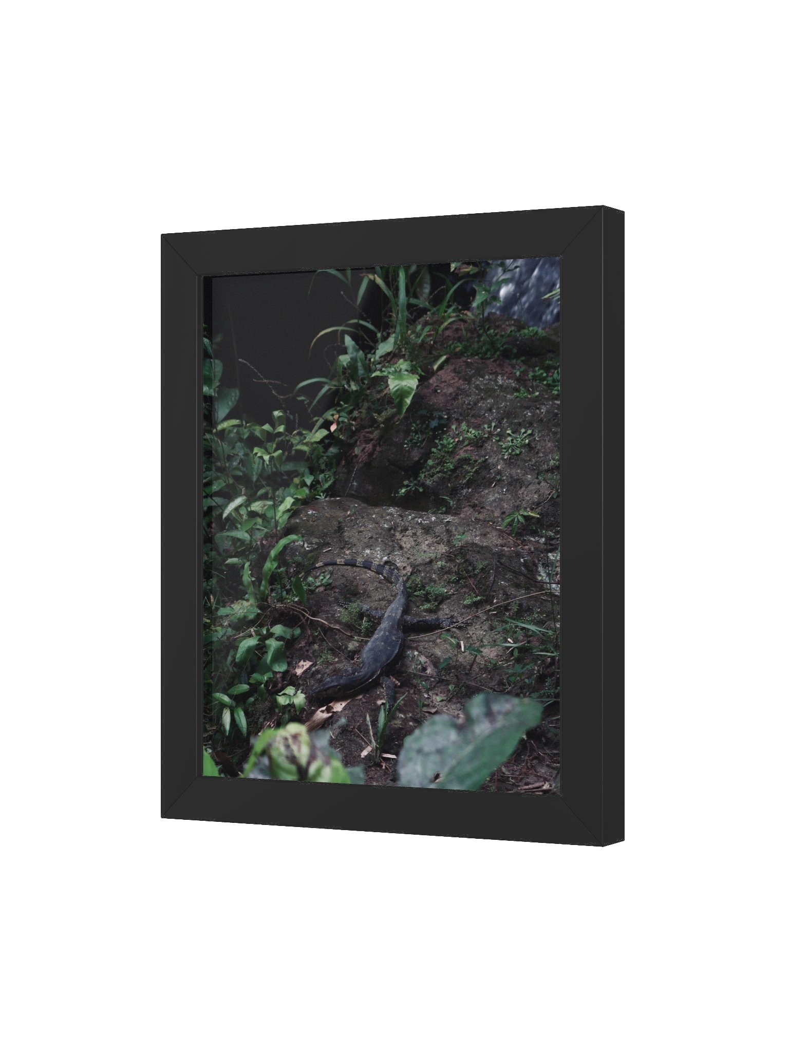 Bali Lizard product image (13)