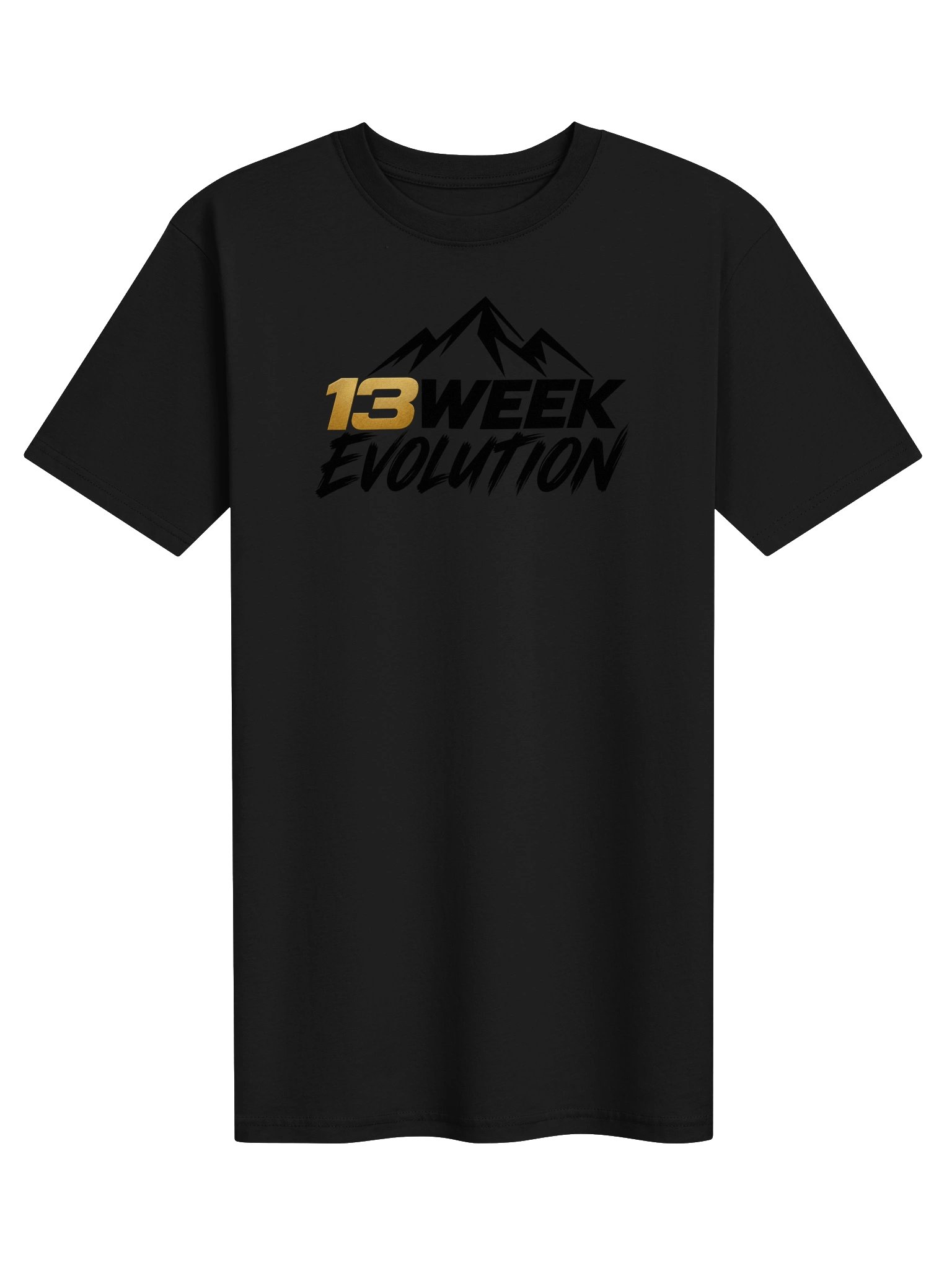 13WE Premium Stealth Tee product image (1)
