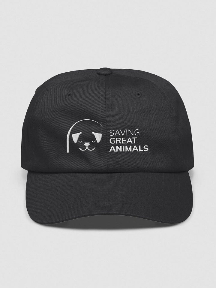 SGA Baseball Cap product image (1)