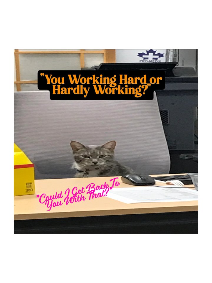 Hard Working Office Cat Stickers product image (2)