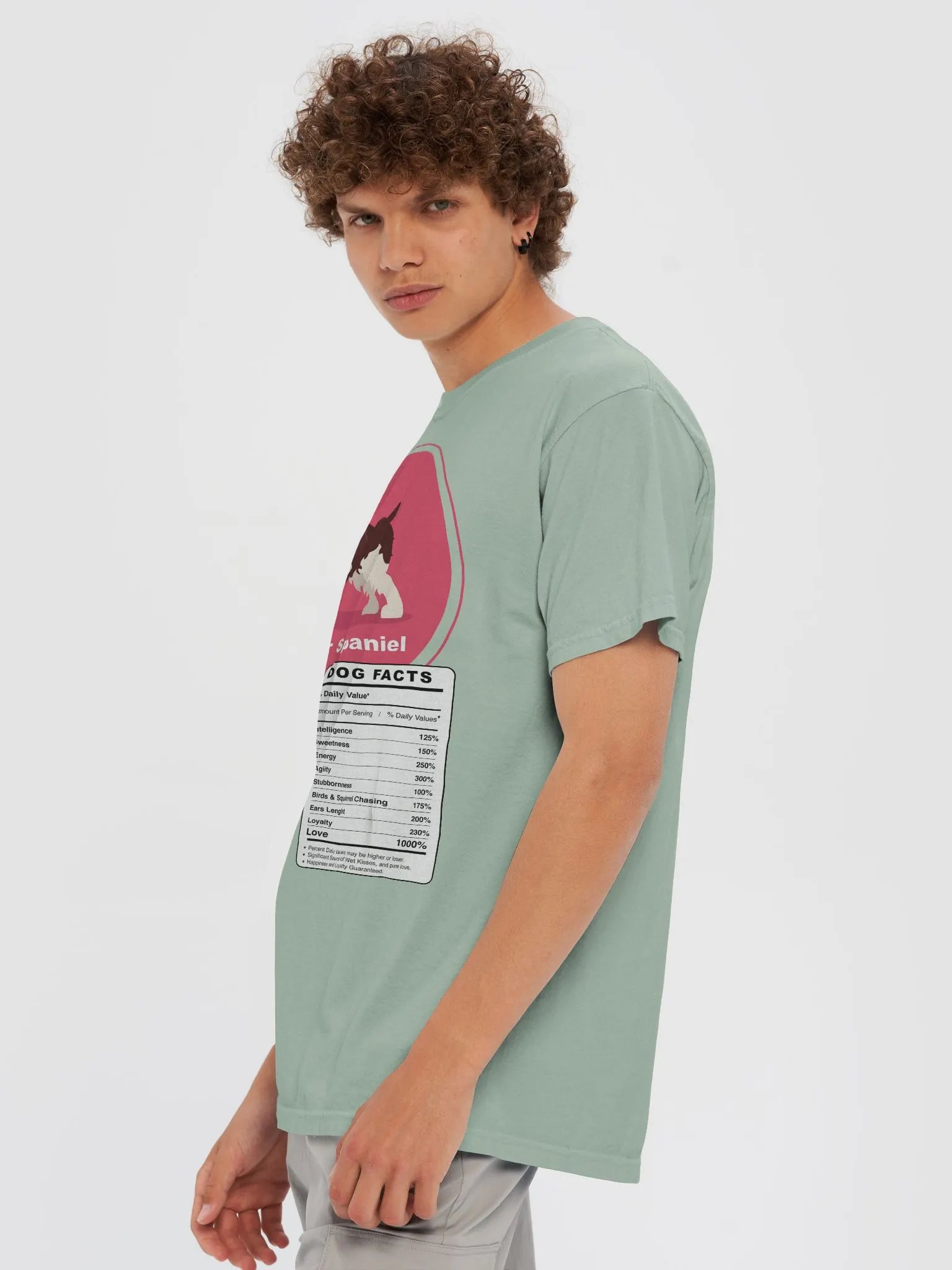 Springer Spaniel Dog Facts product image (63)