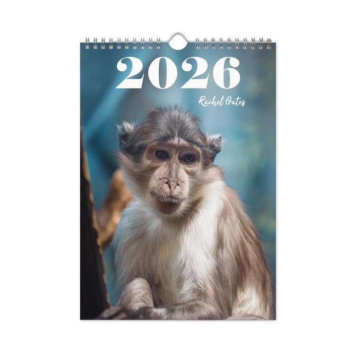 2026 Cute Animals Calendar product image (1)