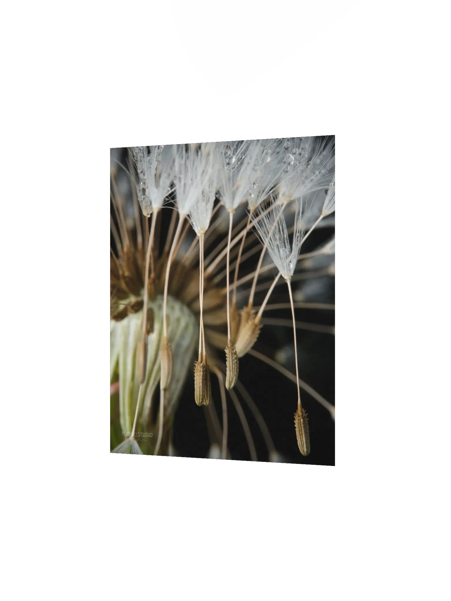 Rapture - Poster product image (4)