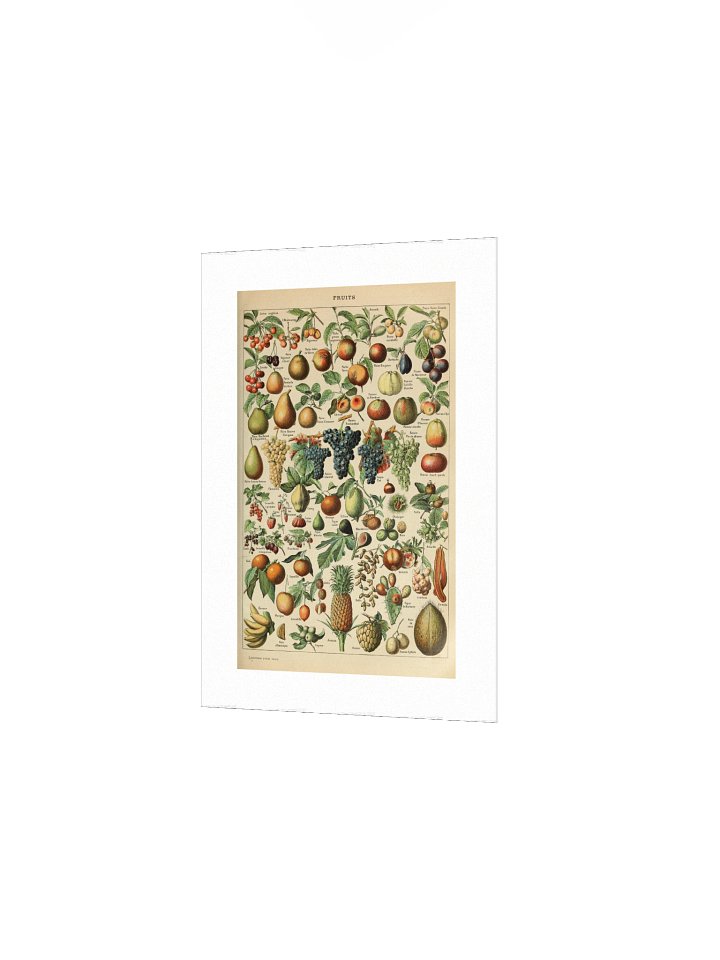 Vintage Fruits Poster product image (2)