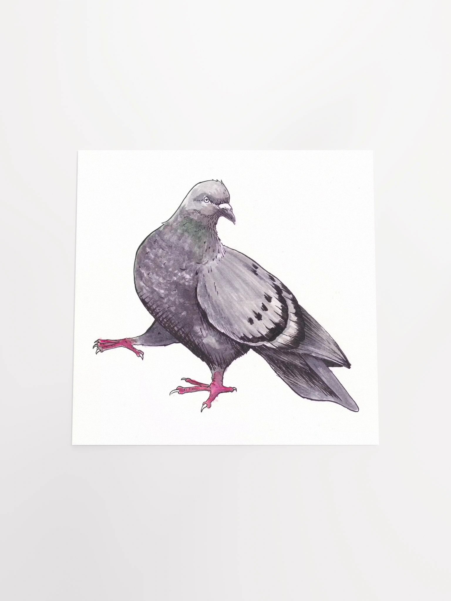 Pigeon Print product image (4)