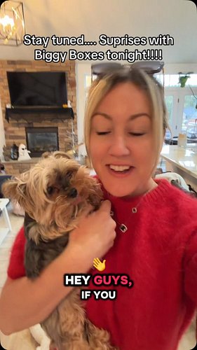 #fyp #yorkielovers #yorkiegram #dogmom #dogs