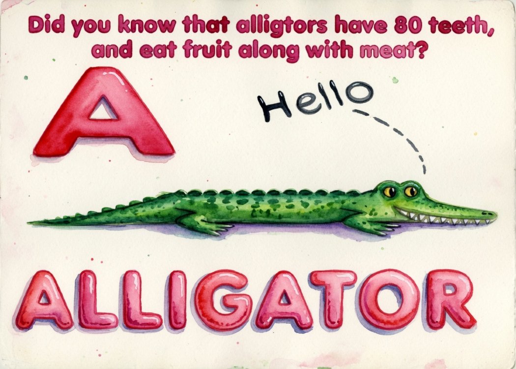 Did You Know A–Z Animal Flash Cards | Fun Facts & ABC Learning product image (8)