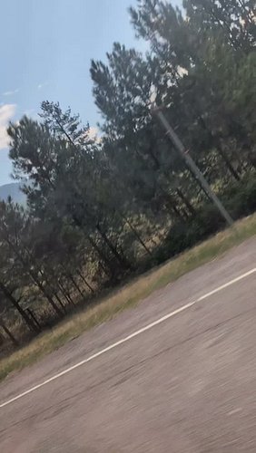 #usa🇺🇸 #senicdrive #usforestservice