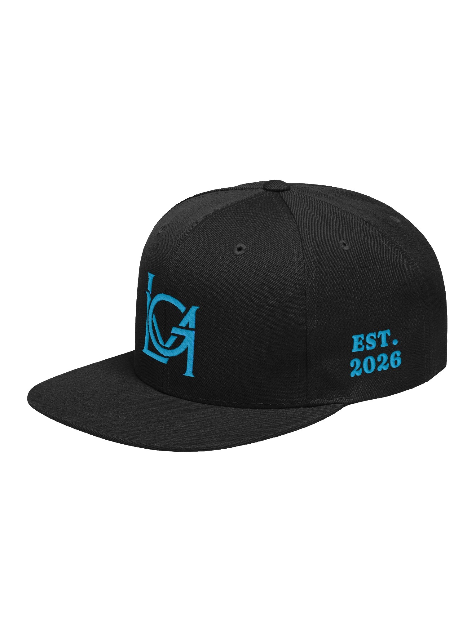 The Northbound Snapback (Teal LG) product image (3)