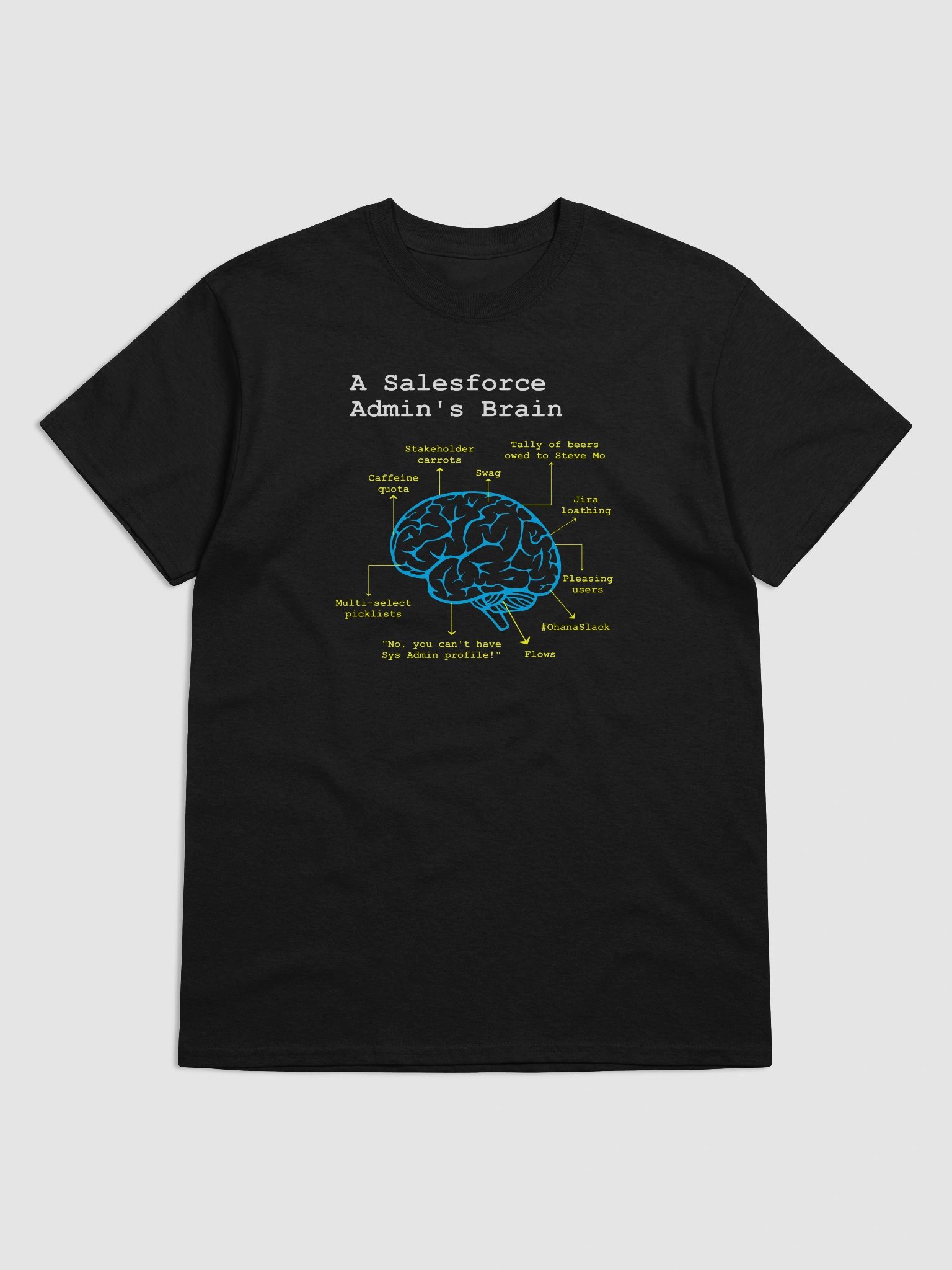 A Salesforce Admin’s Brain product image (3)
