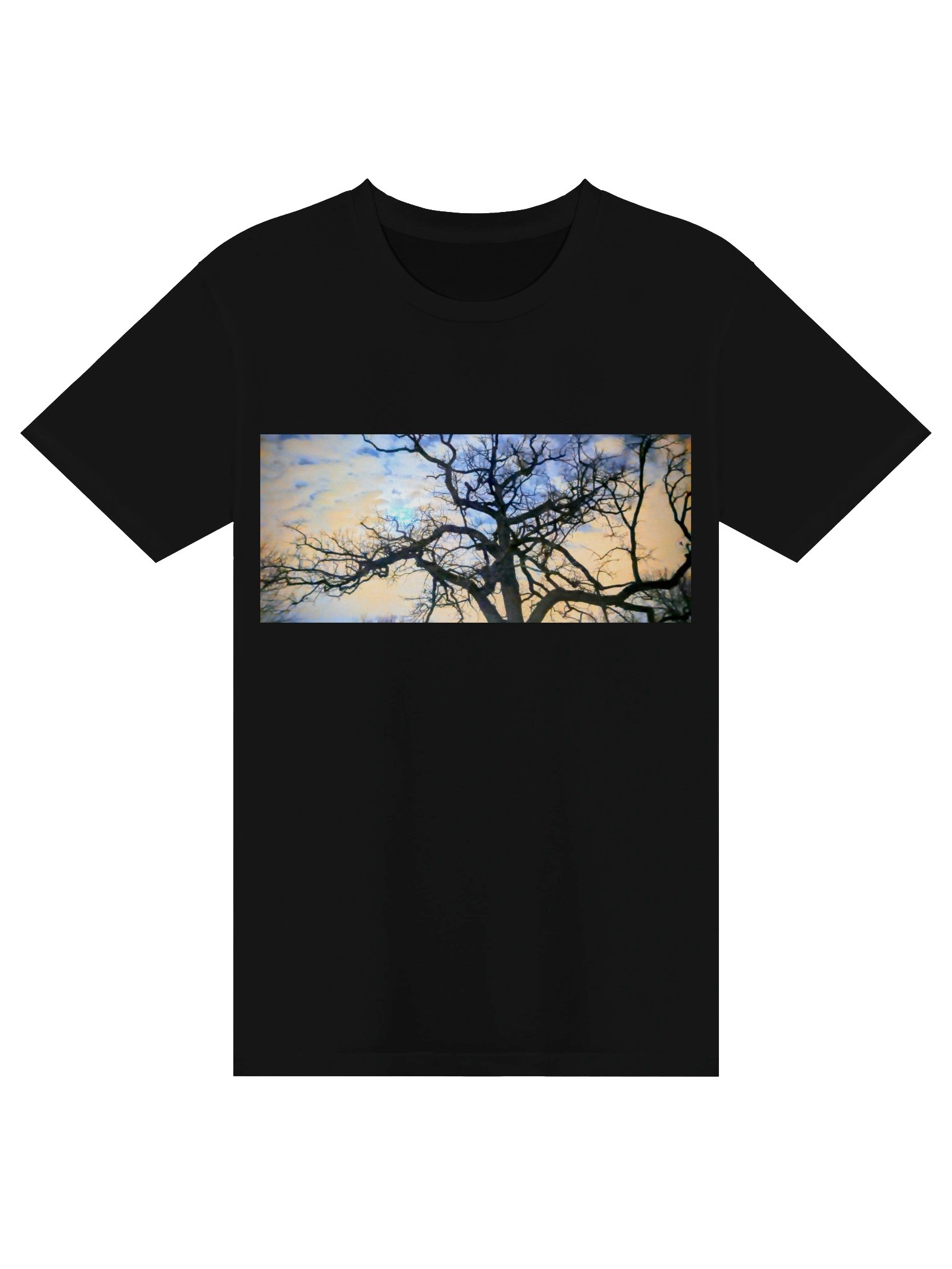 Night Tree Bright Sky product image (1)
