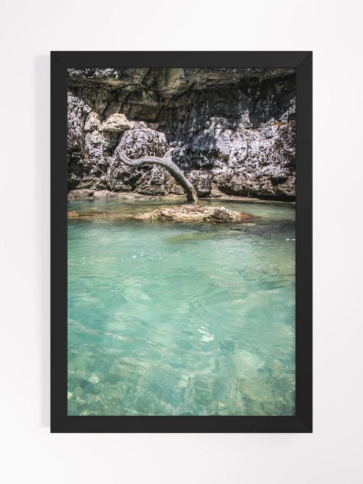 Print Fine Art Photography - Wild Roots of Verdon - France product image (2)