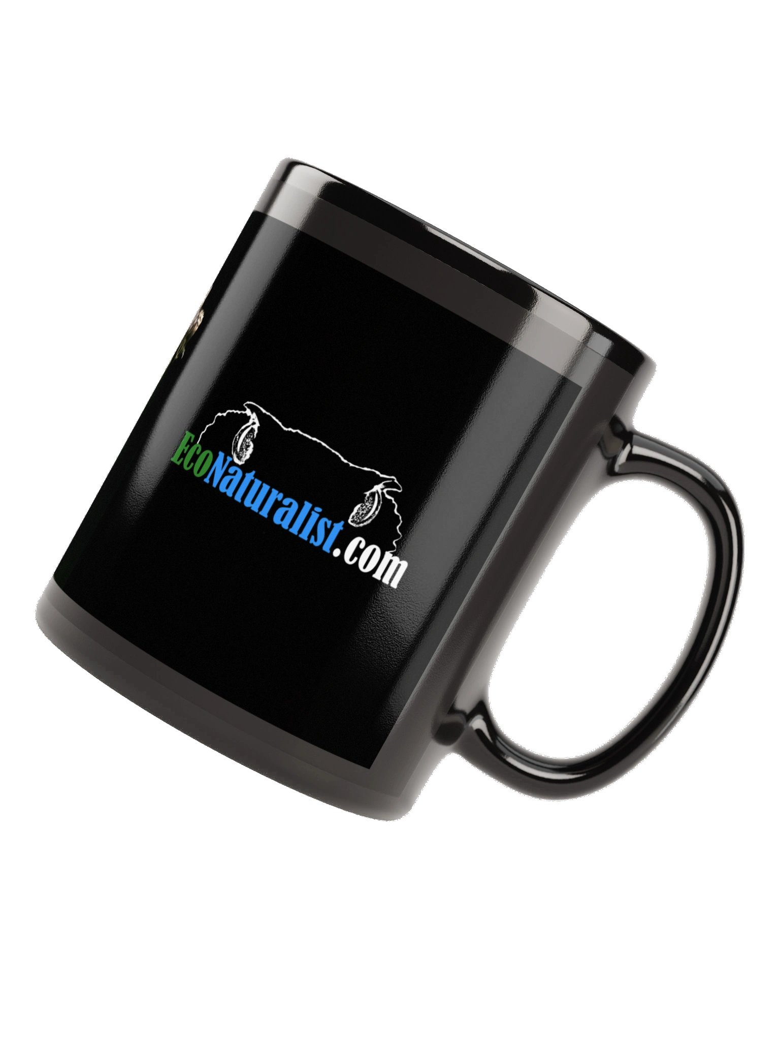 Resplendent Quetzal Mug product image (6)