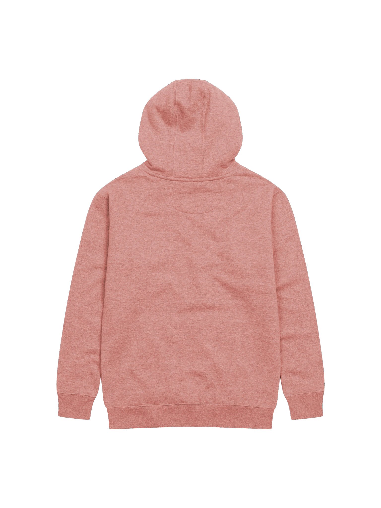 Rain's Pride & Joy Hoodie product image (2)