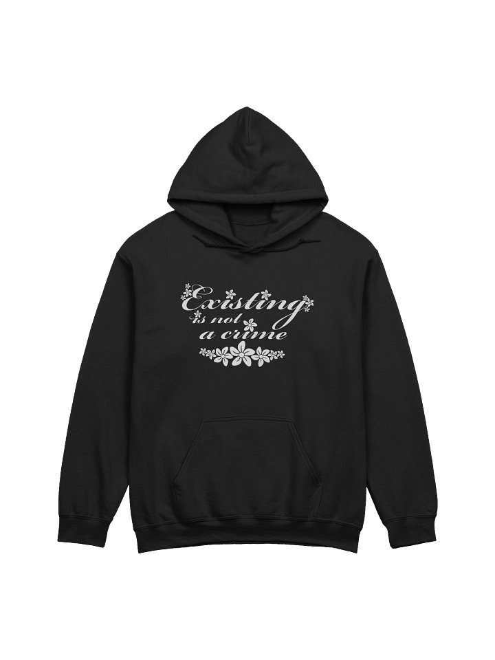 Existing Hoodie product image (1)