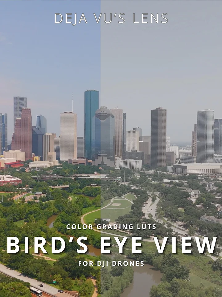 BIRD'S EYE VIEW product image (1)