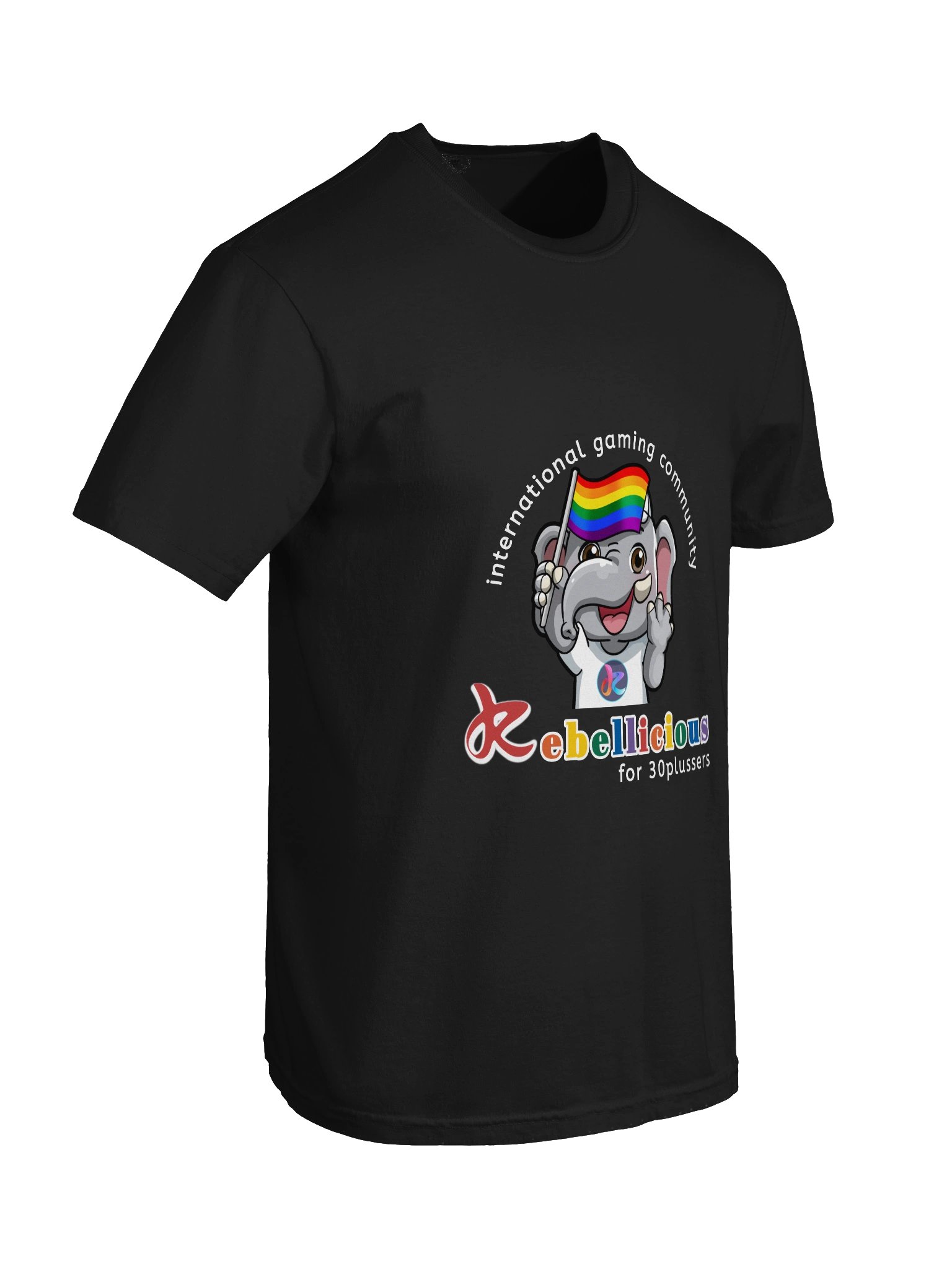 Comfort Colors Pride T-shirt product image (110)
