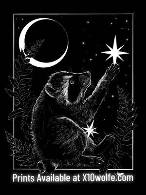 I have been loving all the Jimothy the raccoon art I’ve been seeing, and this little guy is from Ballard, my old Seattle neighborhood, so of course I had to draw him!  This is Jimothy the Dream Catcher, quietly gathering the stars under a moonlit sky. I have prints available through my website x10wolfe.com  Thank you for liking, commenting and sharing my posts, your support means everything. #jimothy #raccoonart #whimsicalart #cuteart #losangelesartist 