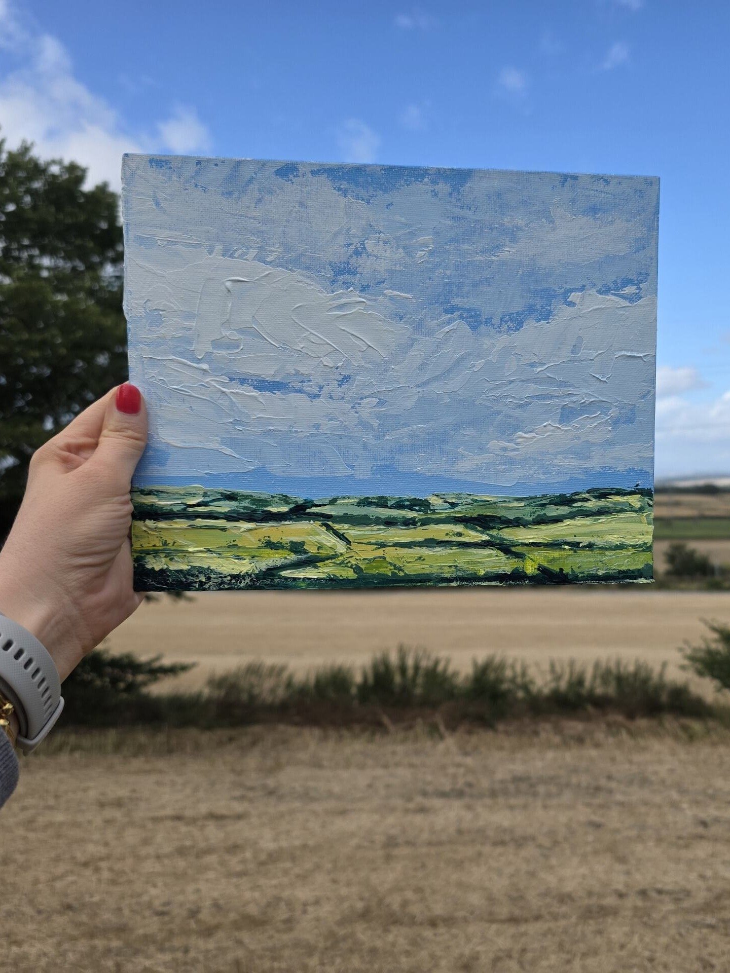 Textured Fields product image (1)