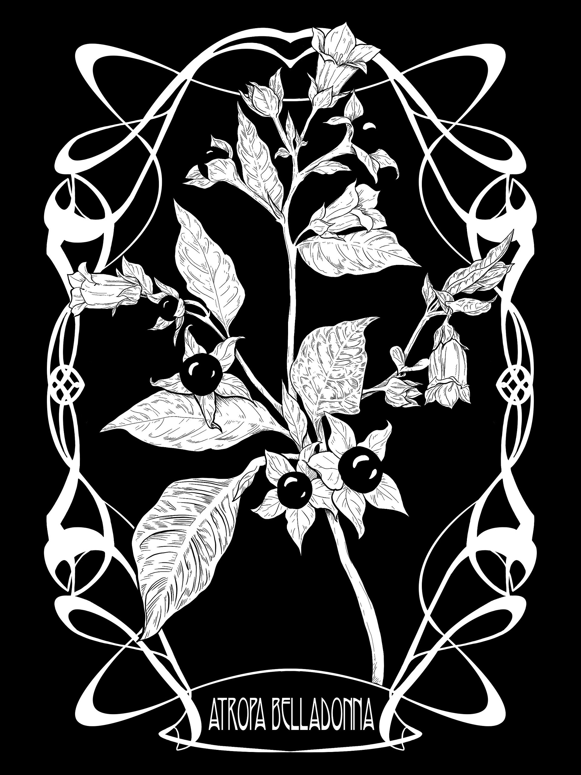 Atropa Belladonna Hoodie product image (3)
