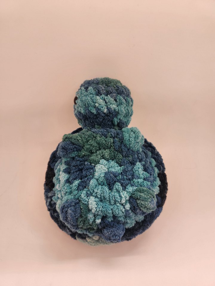 Turtle product image (2)