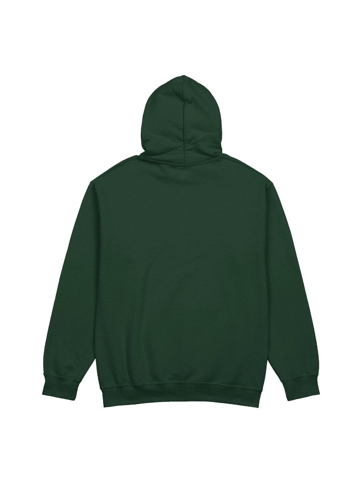 Impeach Convict Remove Hoodie - Colors product image (10)