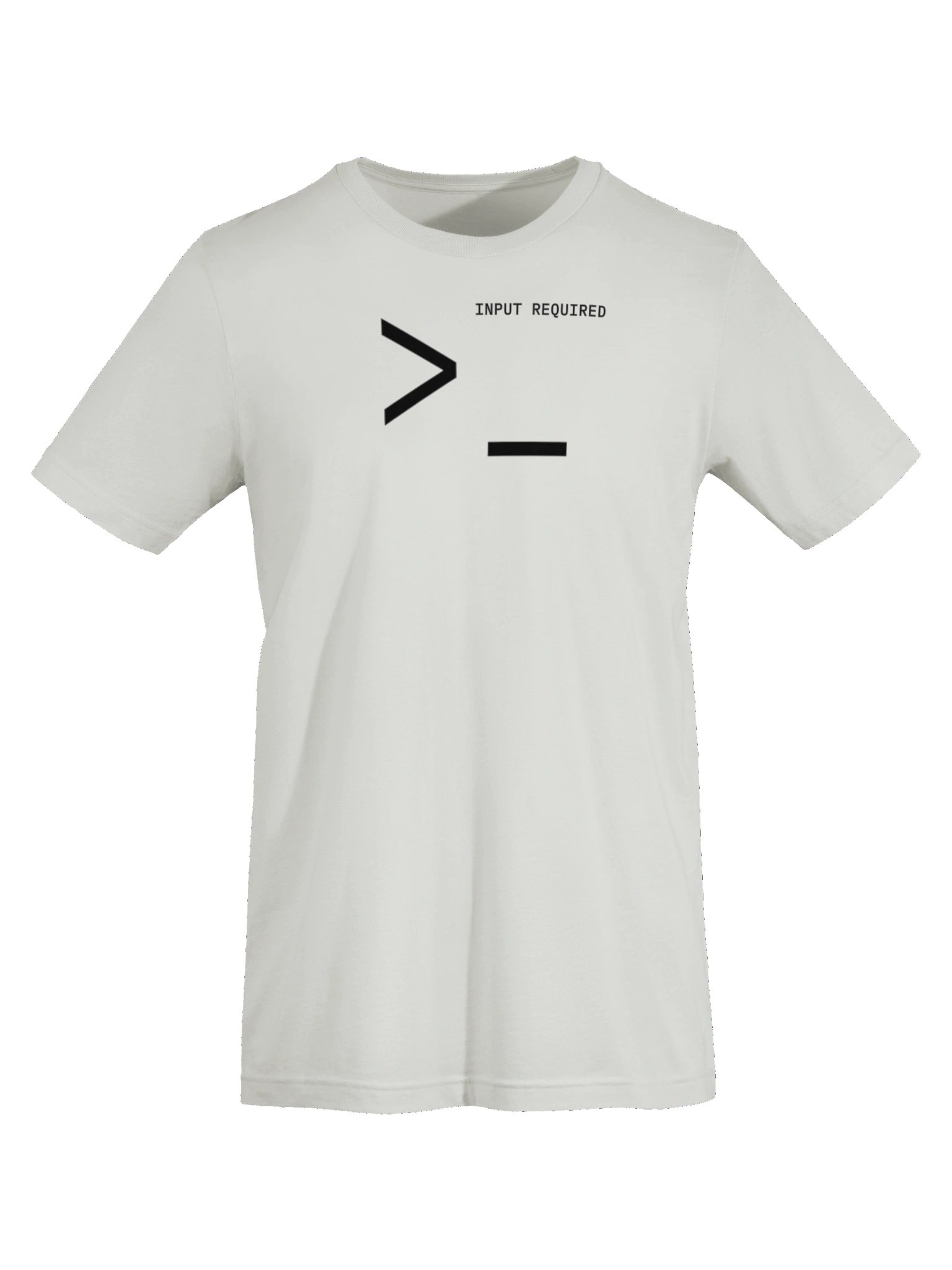 INPUT REQUIRED Minimalist T-shirt product image (42)