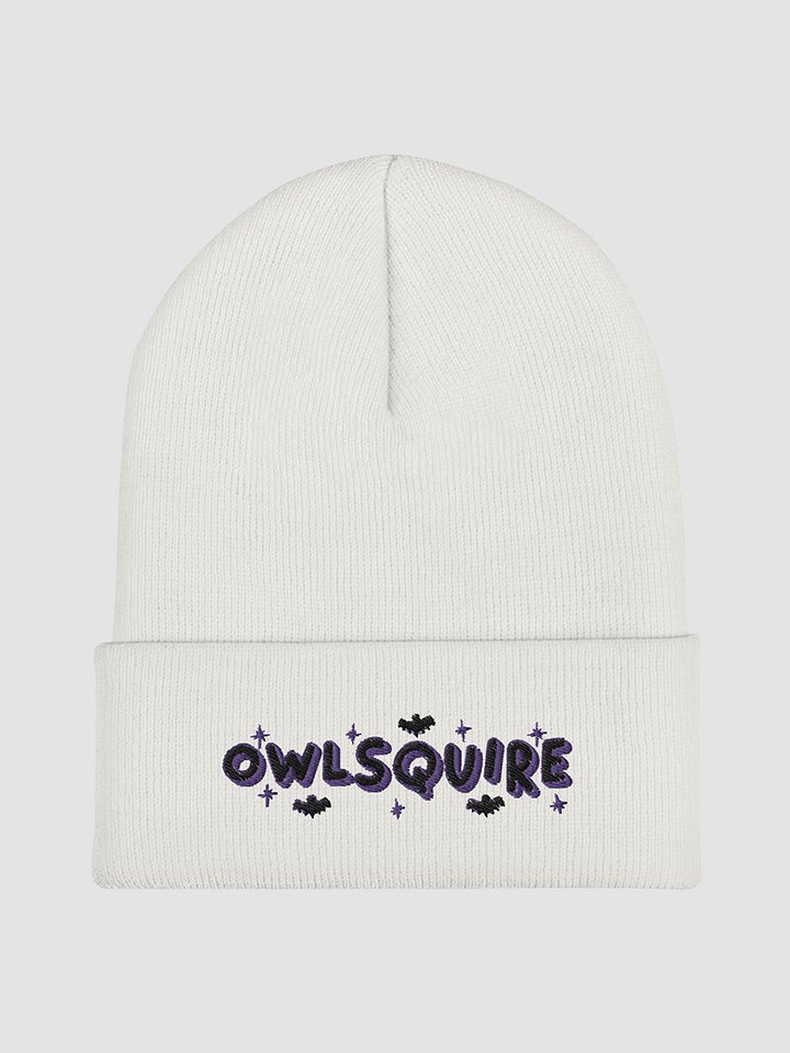 BATS Beanie (2022) product image (2)