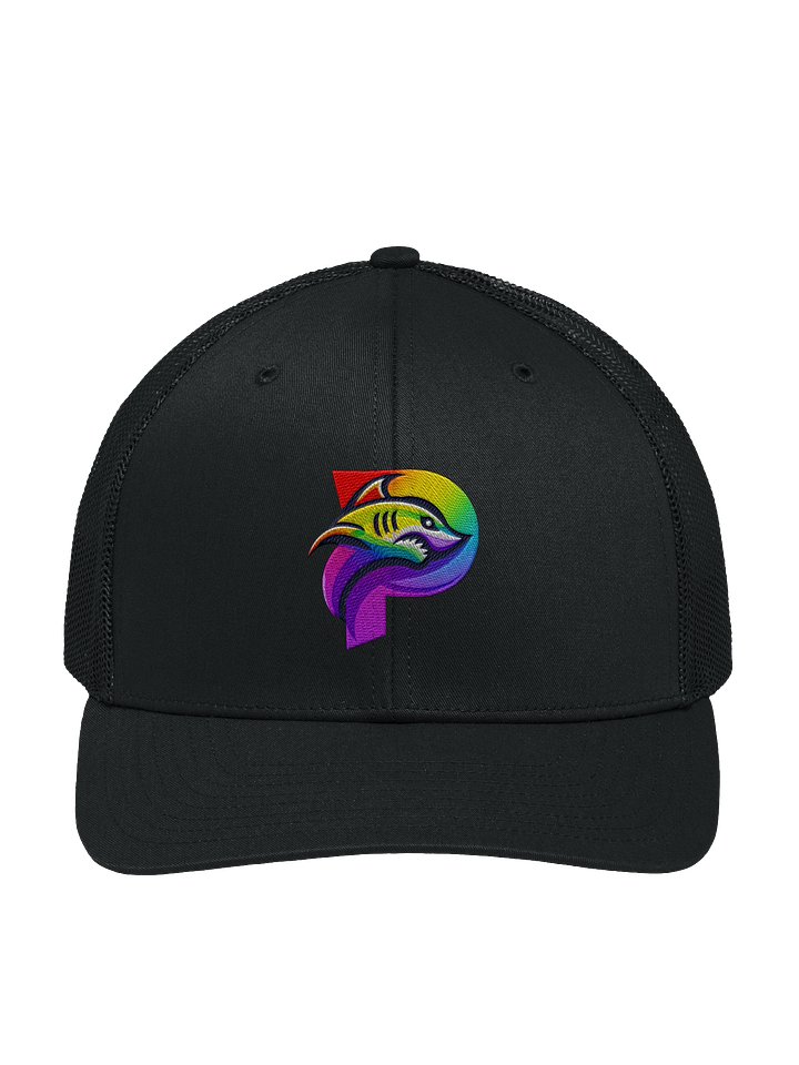 Embroidered Pride Paytonics Logo Hat! product image (5)