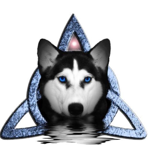 Beautiful Blue-eyed Husky Logo Digital Product product image (1)