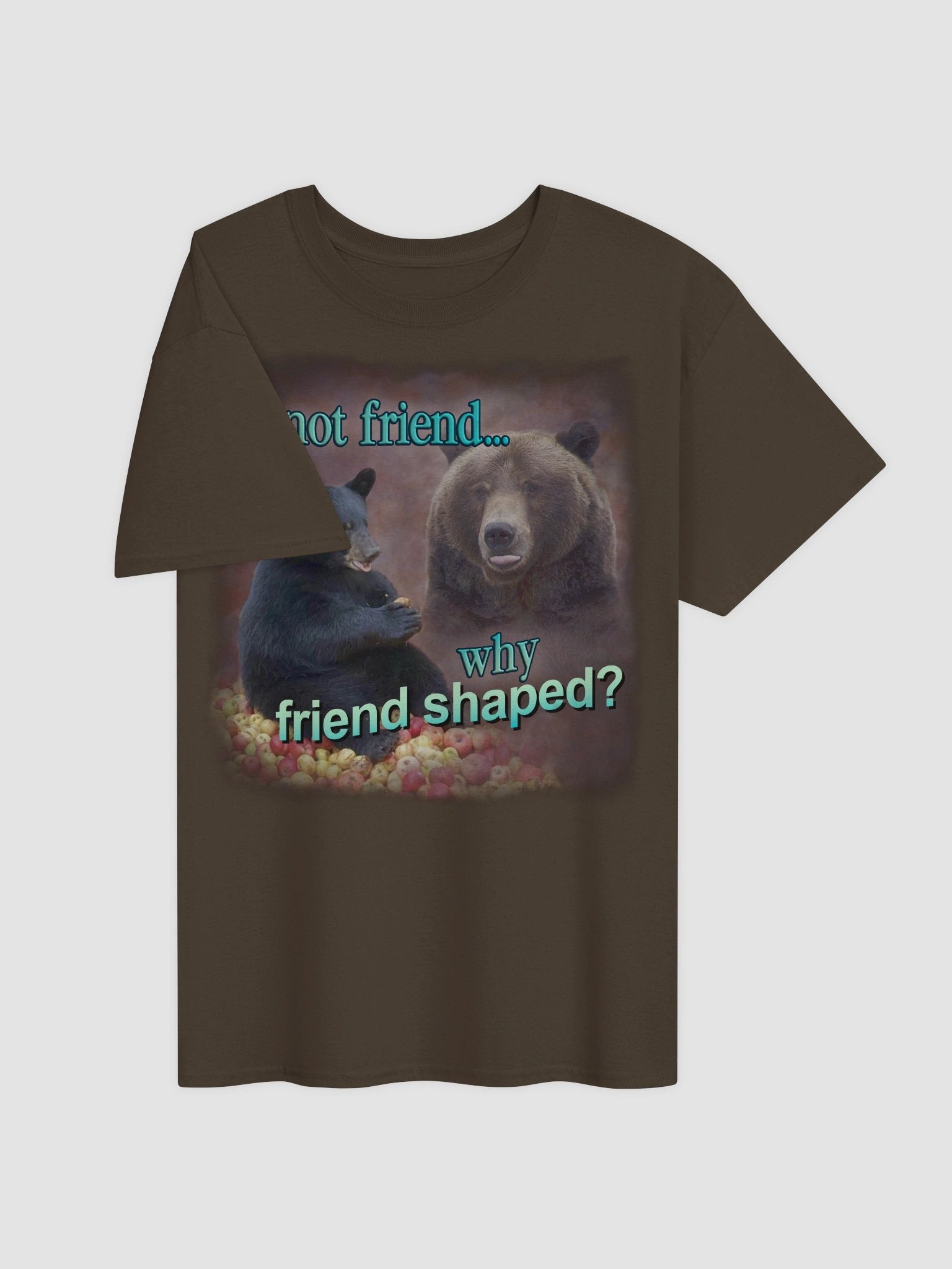 If Not Friend, Why Friend Shaped Bear T-shirt product image (3)