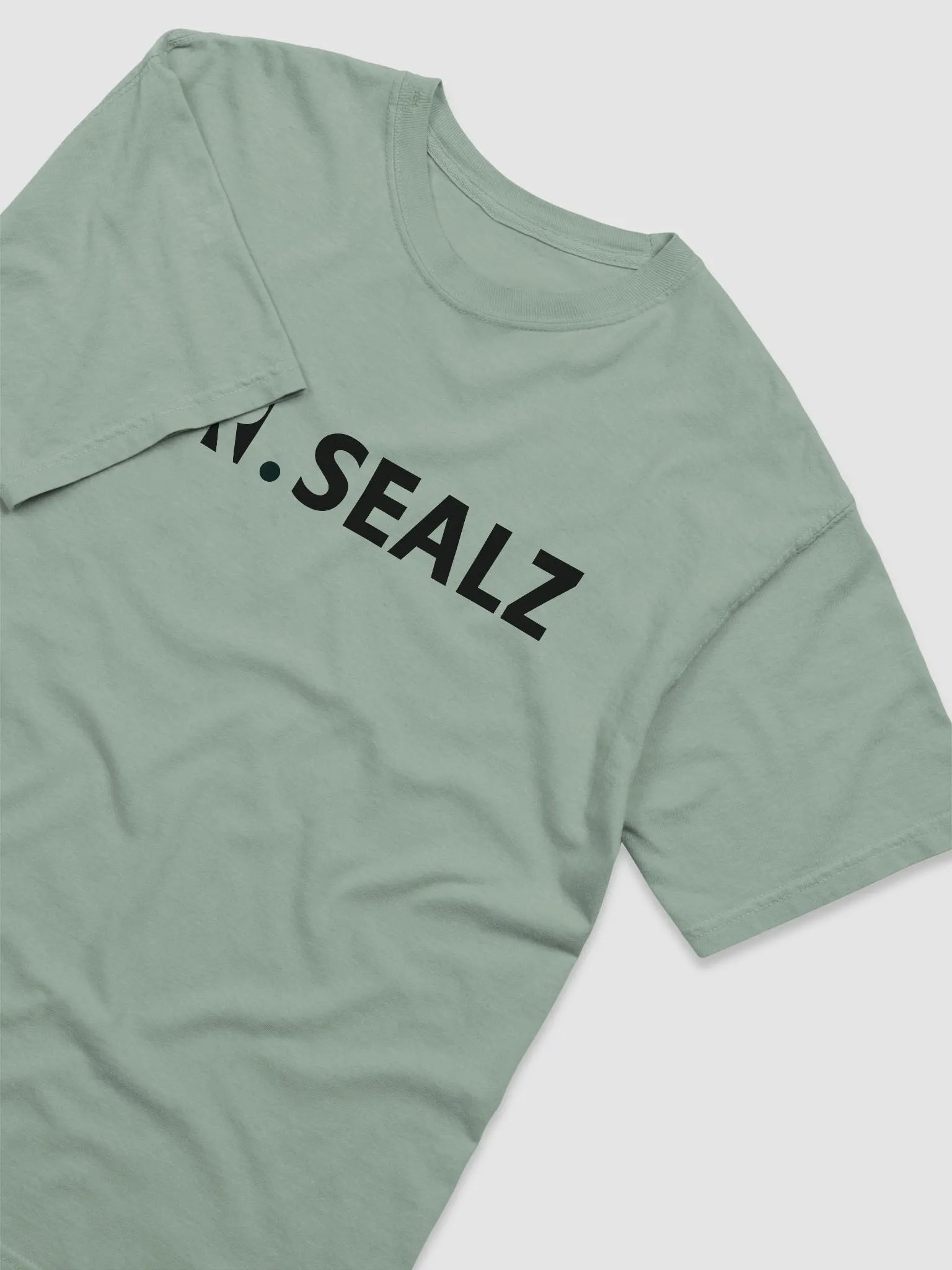 Mr. Sealz Basic Shirt product image (15)