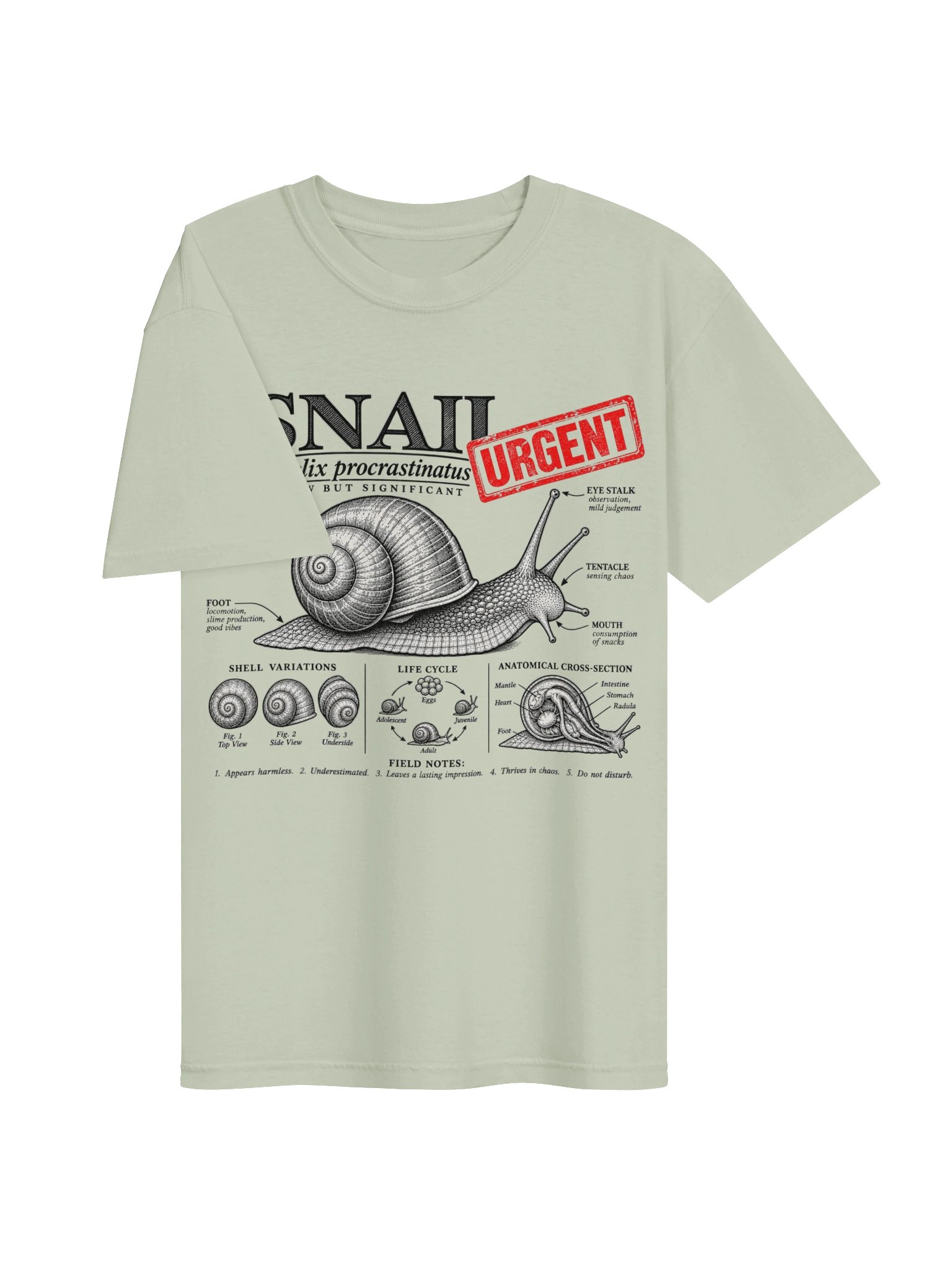 Urgent Snail product image (4)