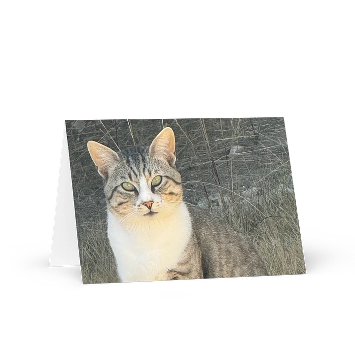 Cricket Gaze Greeting Card product image (1)