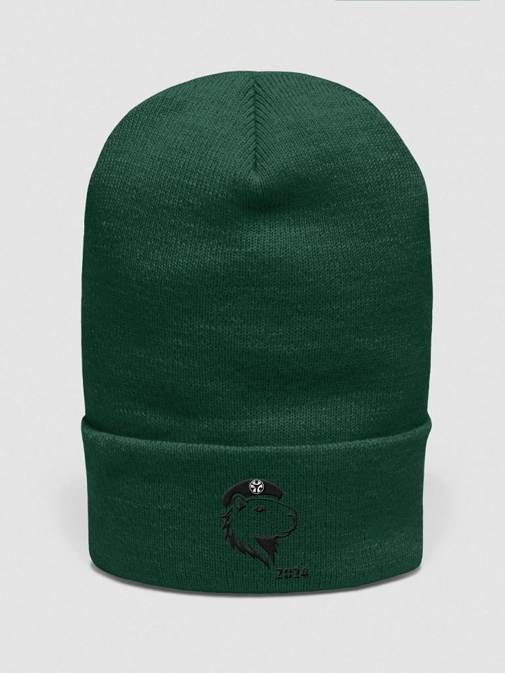 PoKa Classic Beanie - 2024 product image (1)