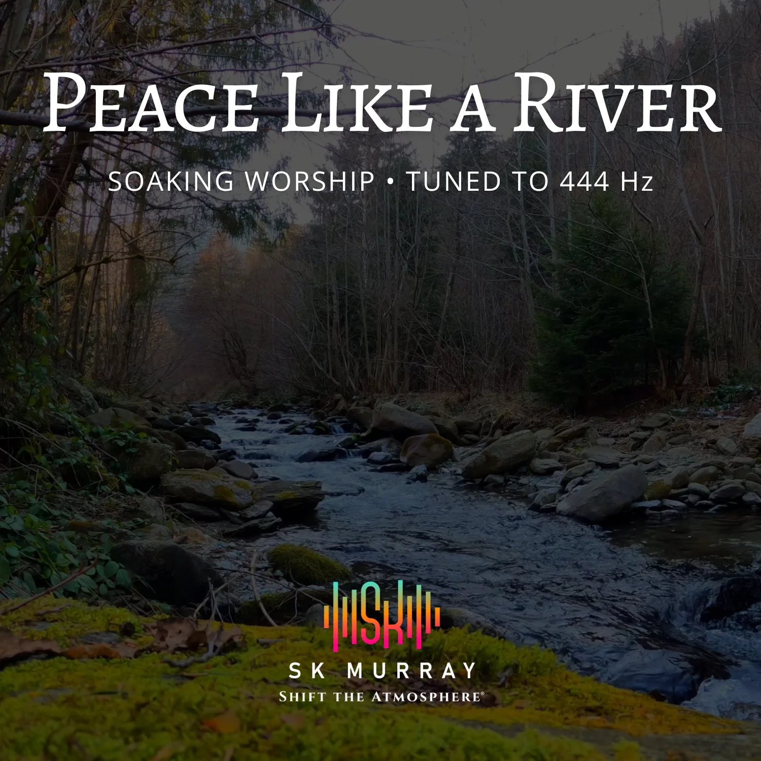 Peace Like a River MP3 download product image (1)