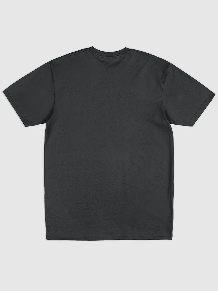 Down Fall River Black Tee product image (2)