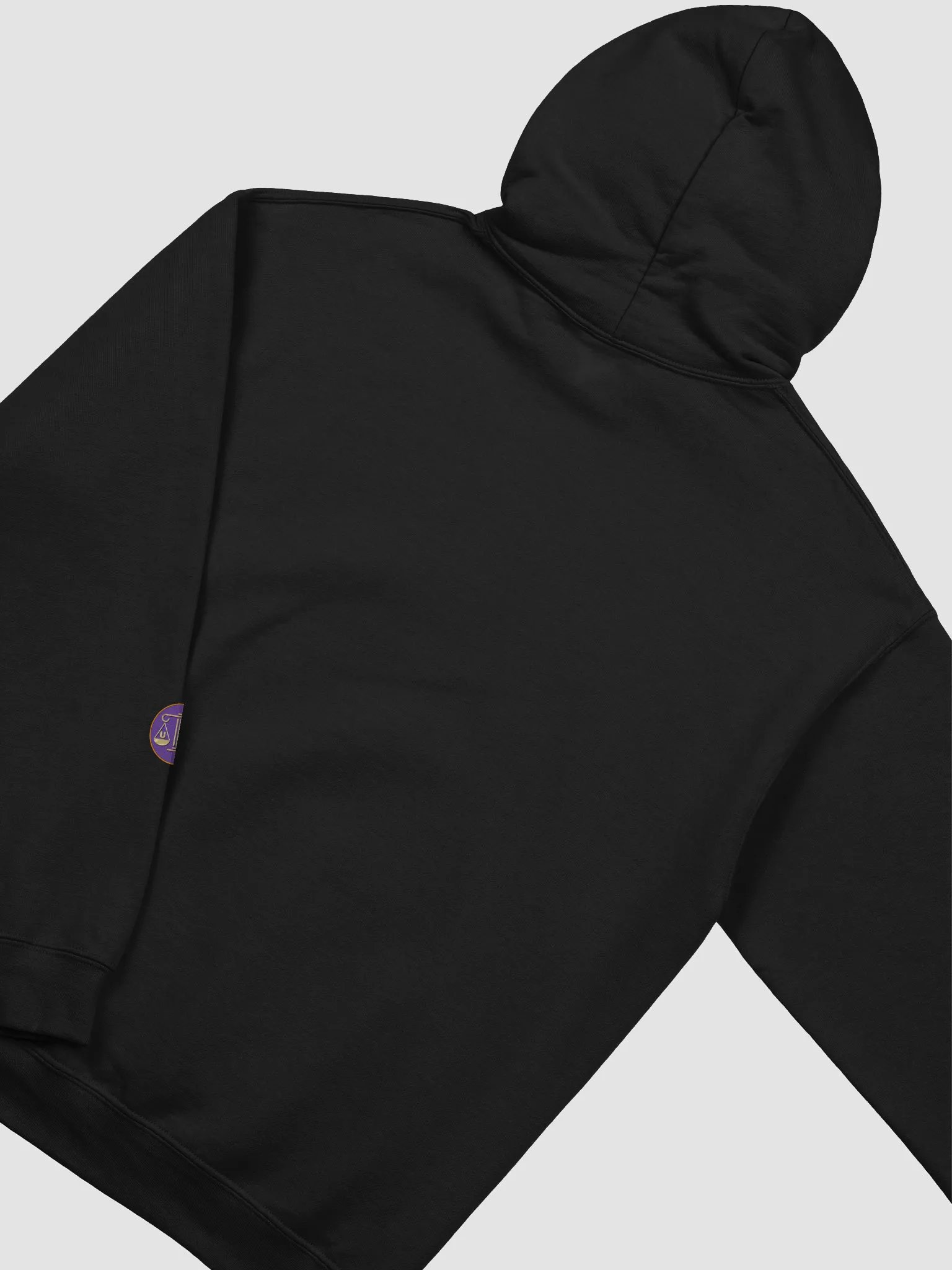 Currently pursuing... HOODIE product image (3)