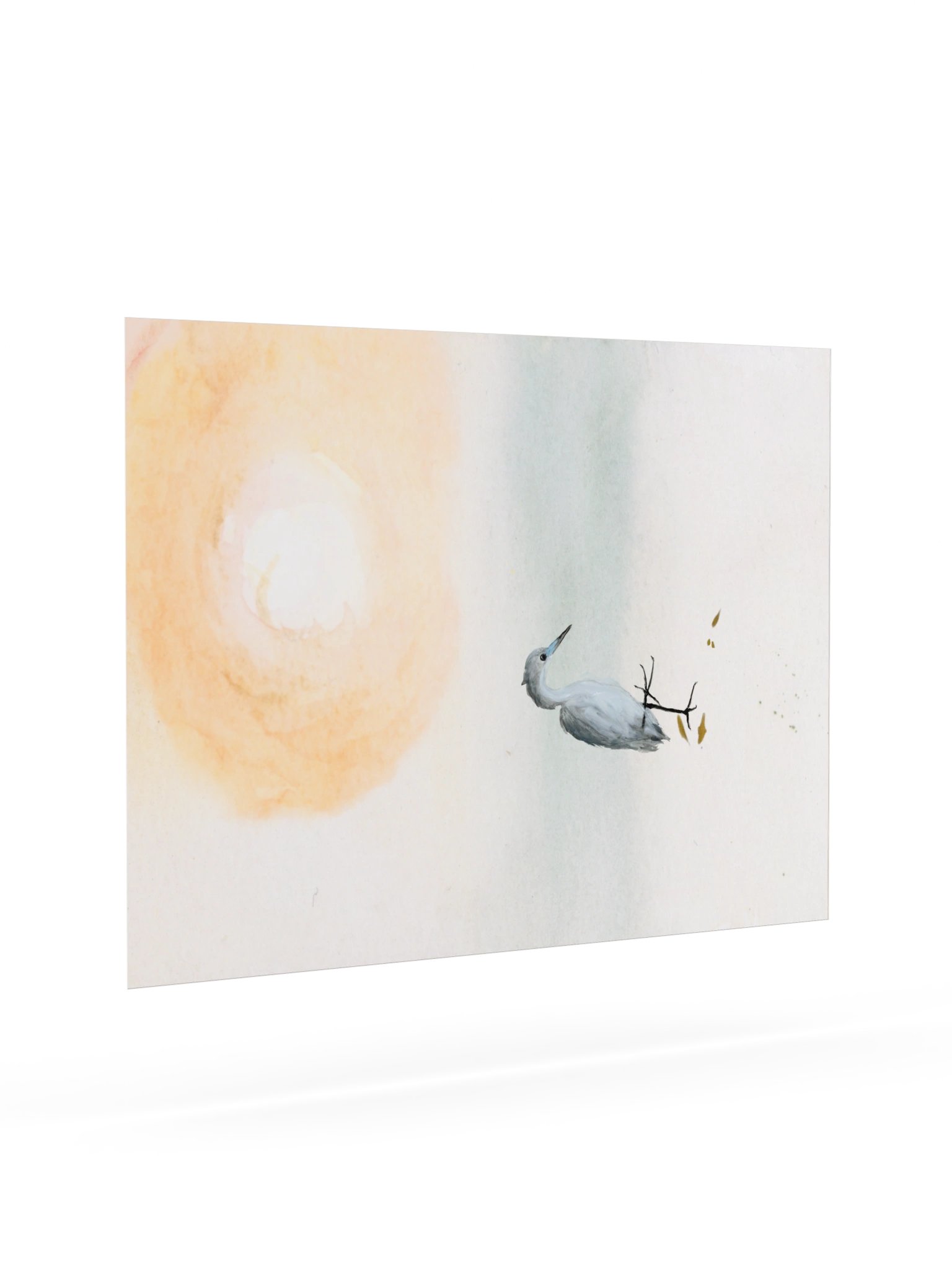Baby Blue Heron - Fine Art Print product image (71)