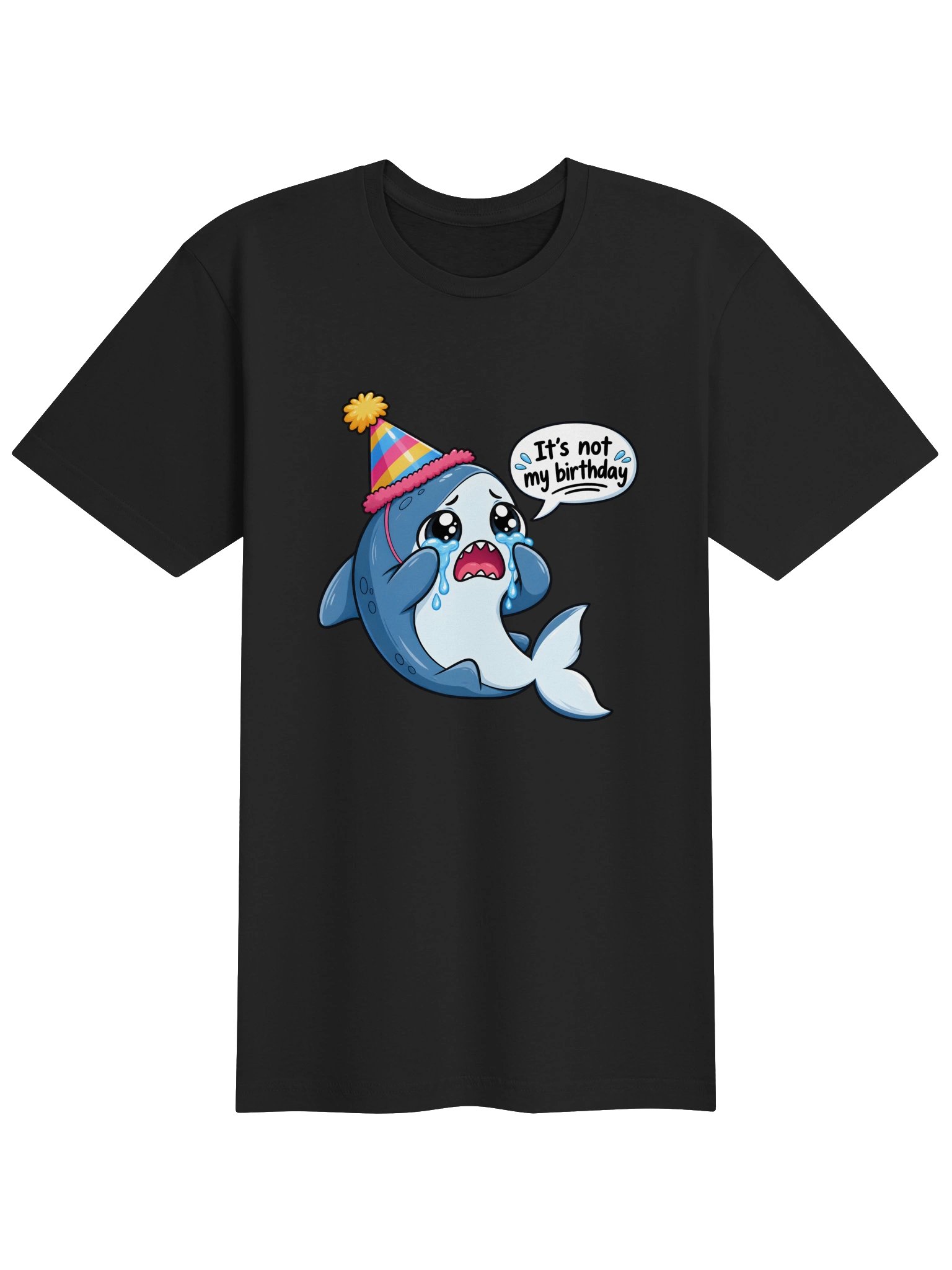 NOT MY BIRTHDAY TEE product image (1)