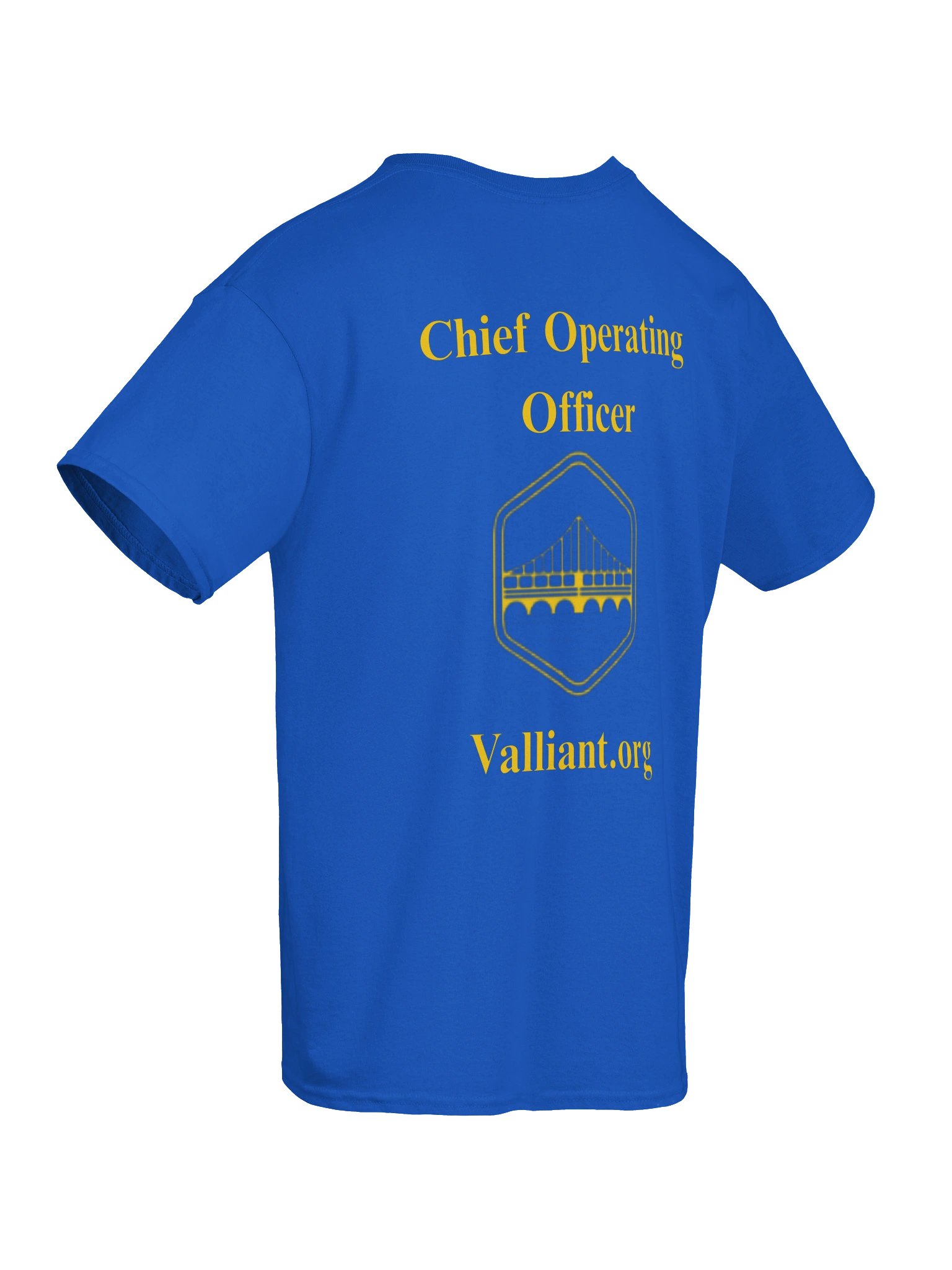 Riya's T-Shirt product image (8)