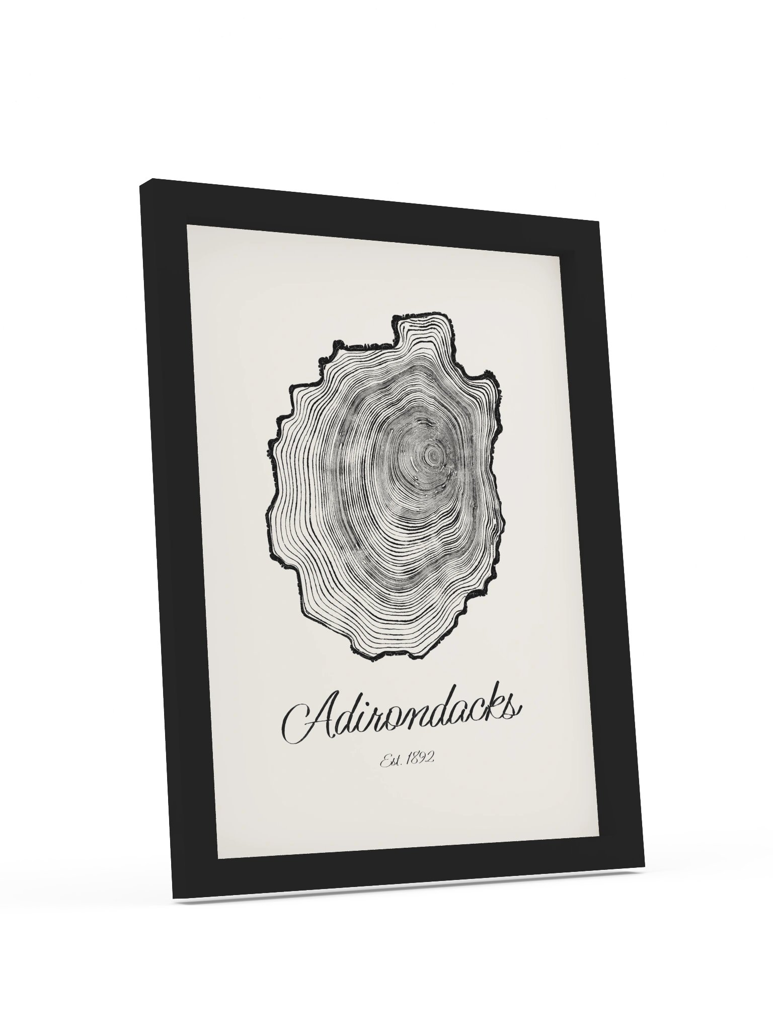 Adirondack Park Tree Ring Framed Print product image (20)